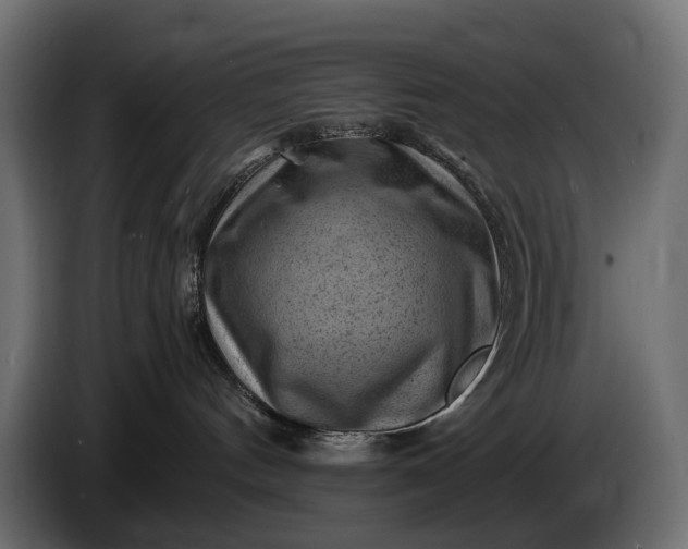 X0000086290144200704131556