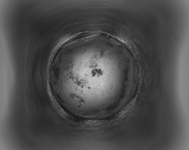 X0000086290145200704131555