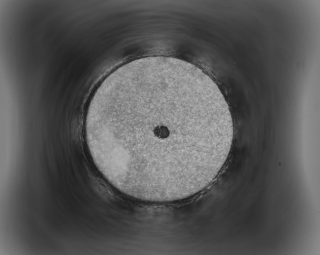 X0000086290146200704131555