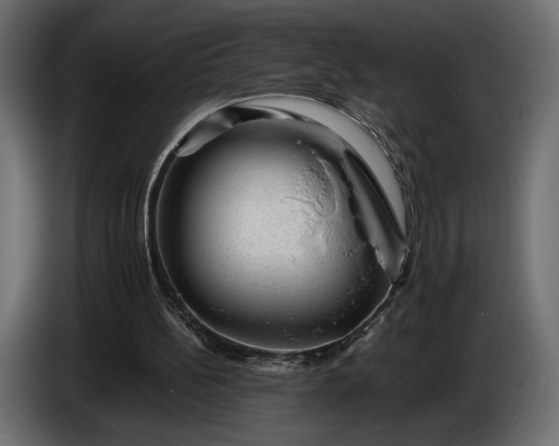 X0000086290148200704131555