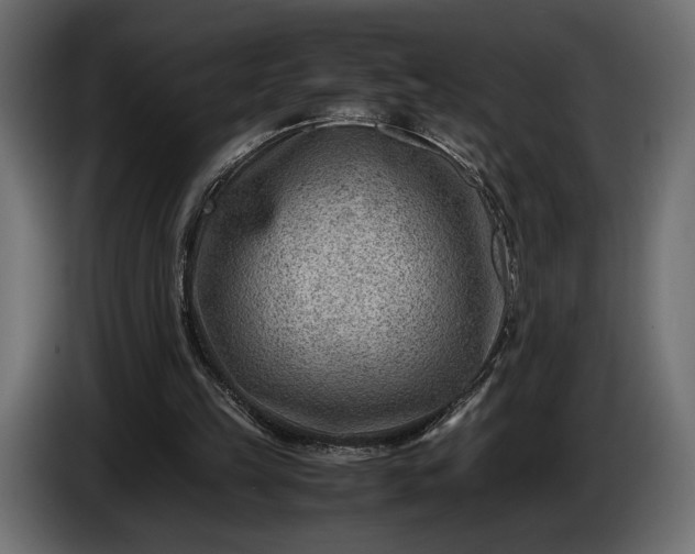 X0000086290149200704131555