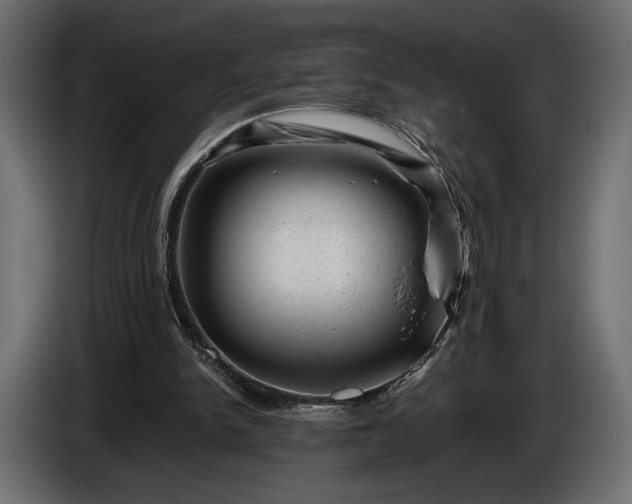 X0000086290150200704131555