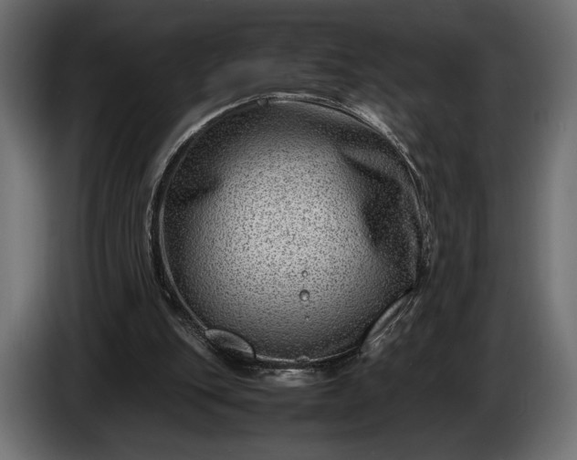 X0000086290151200704131555