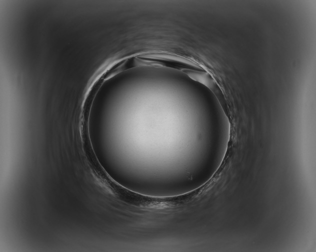 X0000086290152200704131555