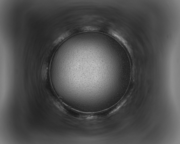 X0000086290153200704131555