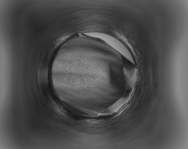 X0000086290154200704131555
