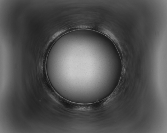 X0000086290155200704131555