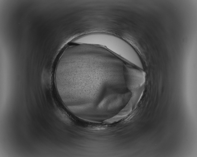 X0000086290156200704131555
