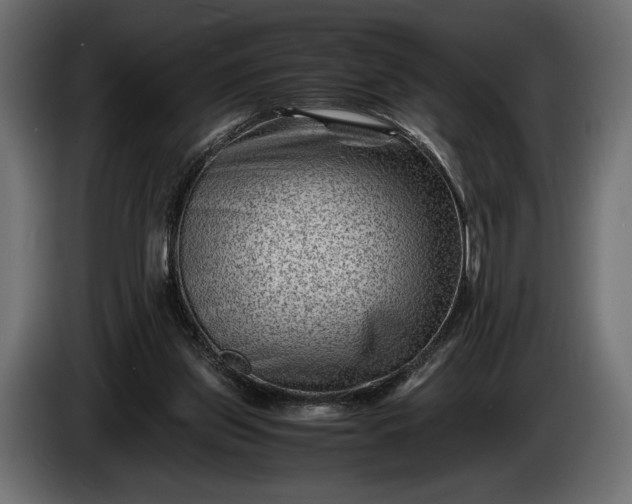 X0000086290157200704131555