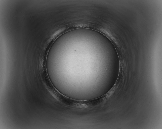 X0000086290159200704131555