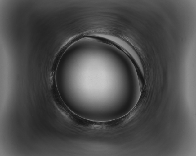 X0000086290160200704131555