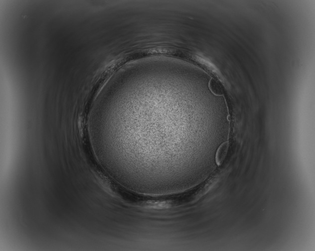 X0000086290161200704131555