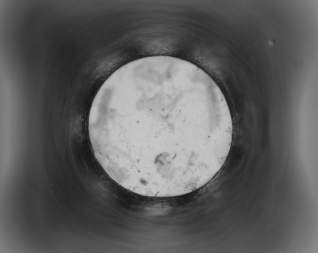 X0000086290162200704131555