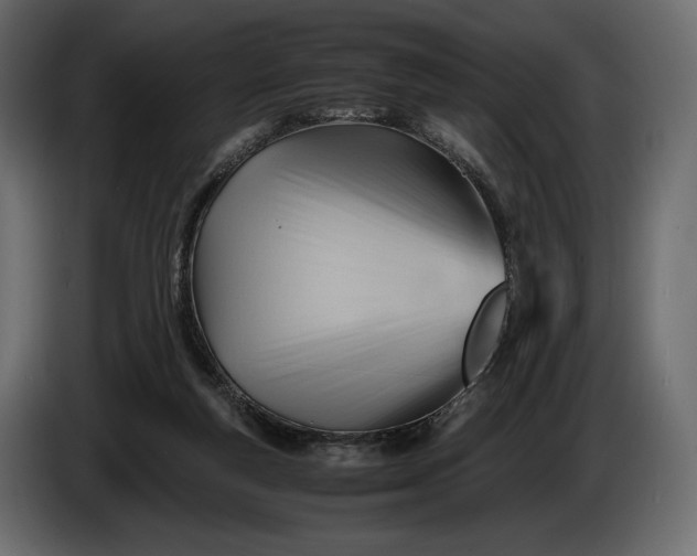 X0000086290163200704131555