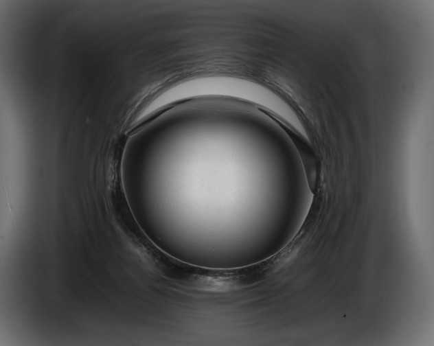 X0000086290164200704131555
