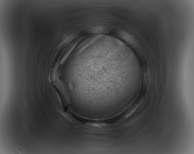 X0000086290165200704131555