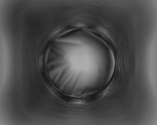 X0000086290167200704131555