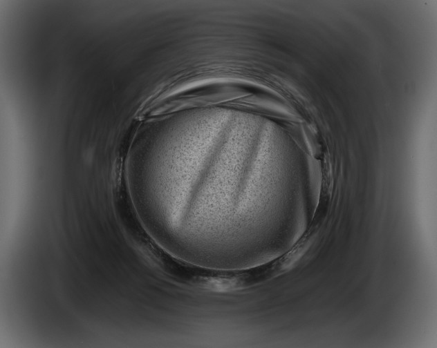 X0000086290168200704131555