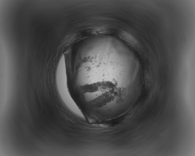 X0000086290169200704131555