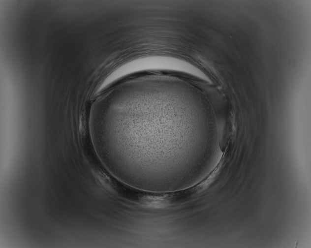 X0000086290170200704131555