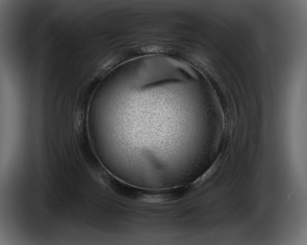 X0000086290171200704131555