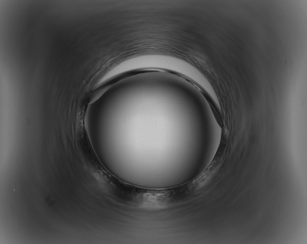 X0000086290172200704131555