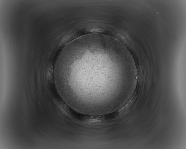 X0000086290175200704131555