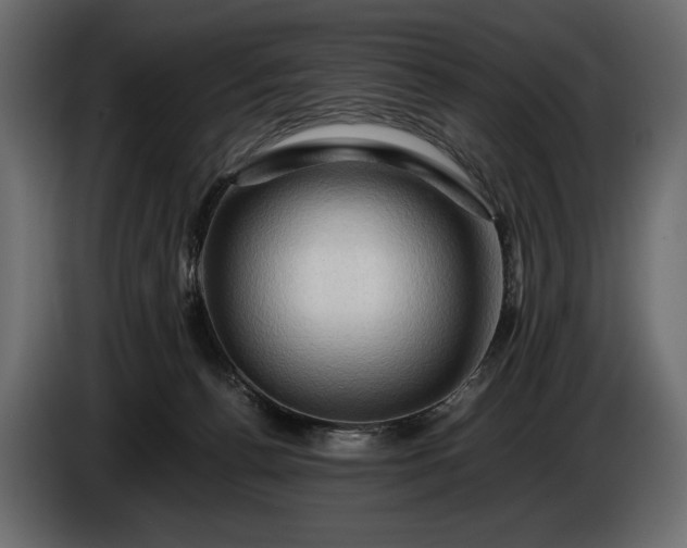 X0000086290176200704131556
