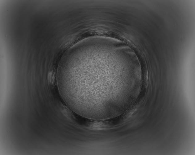 X0000086290177200704131556