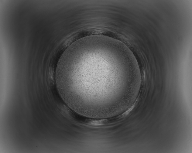 X0000086290178200704131556