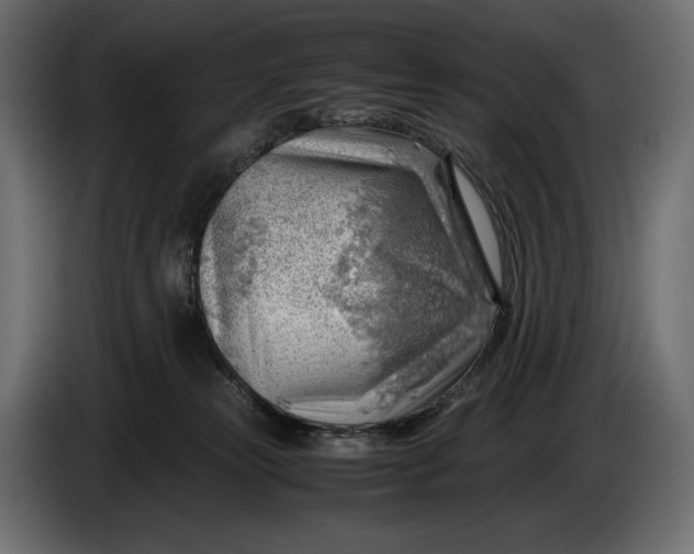X0000086290181200704131556