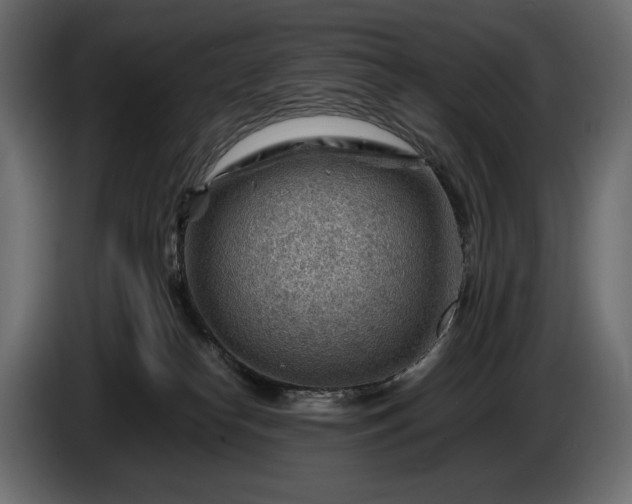 X0000086290182200704131556
