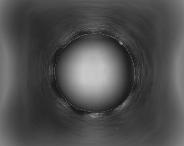 X0000086290184200704131556