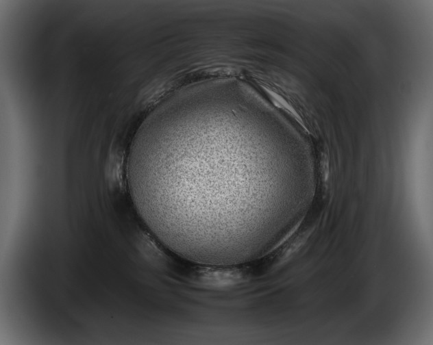 X0000086290185200704131556