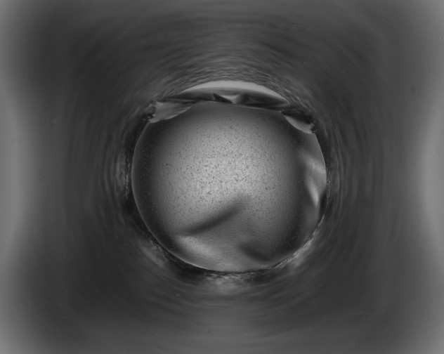 X0000086290186200704131556