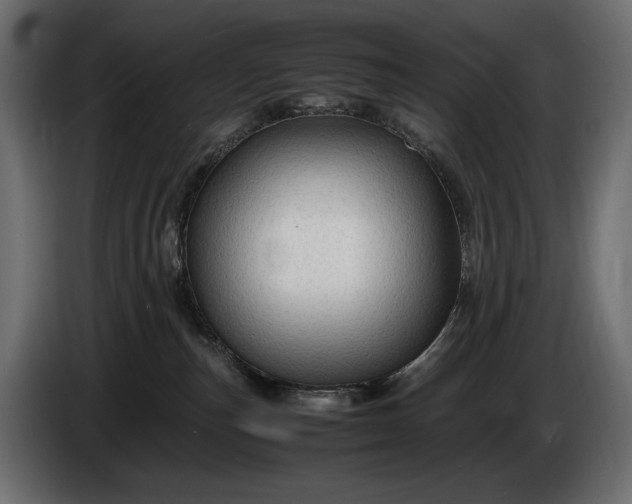 X0000086290187200704131556