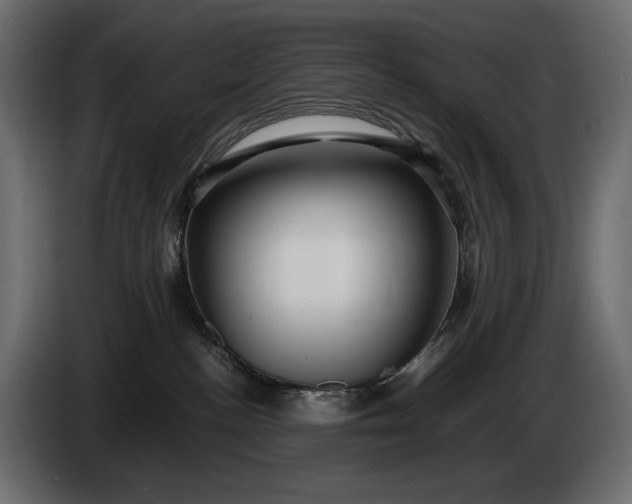 X0000086290188200704131556