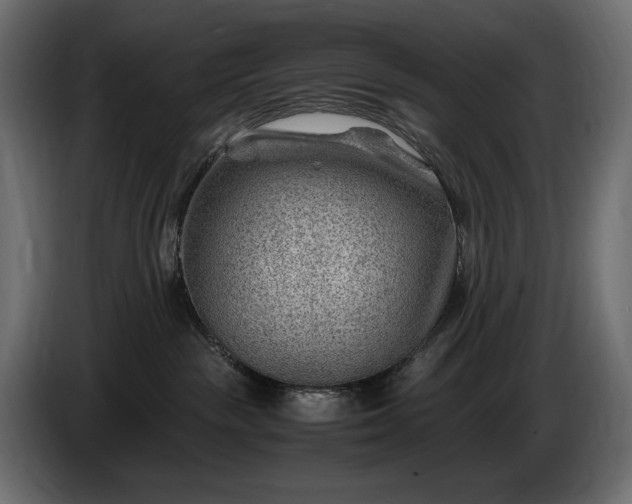 X0000086290189200704131556