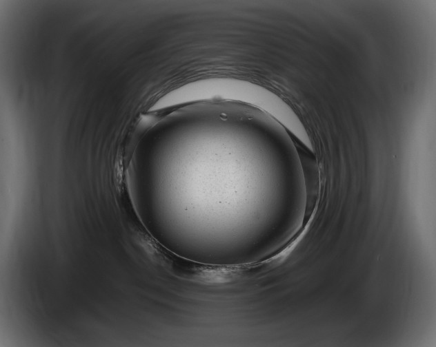X0000086290190200704131556