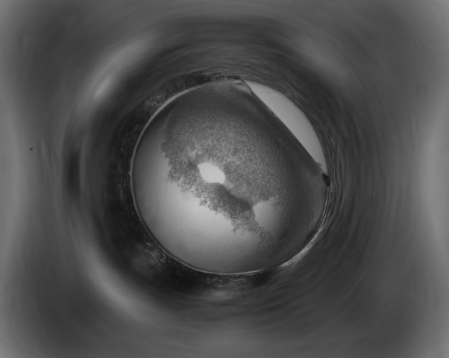 X0000086290191200704131556