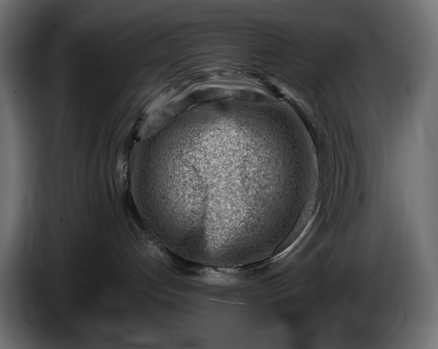 X0000086290192200704131556