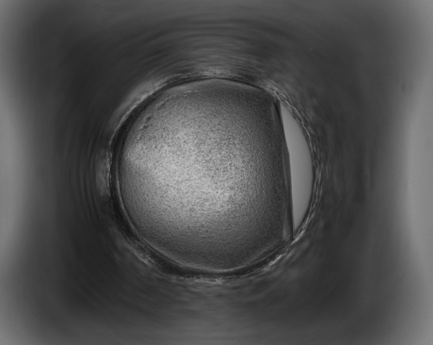 X0000086290194200704131555