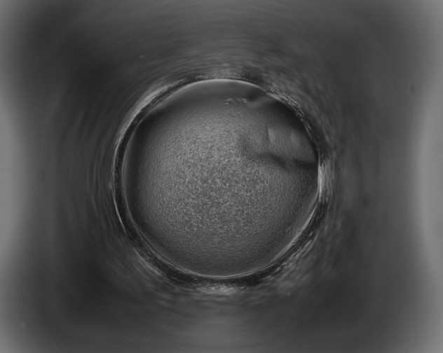 X0000086290195200704131555
