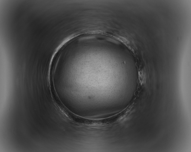 X0000086290196200704131555