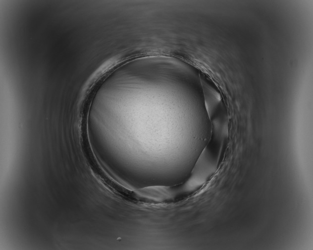 X0000086290197200704131555