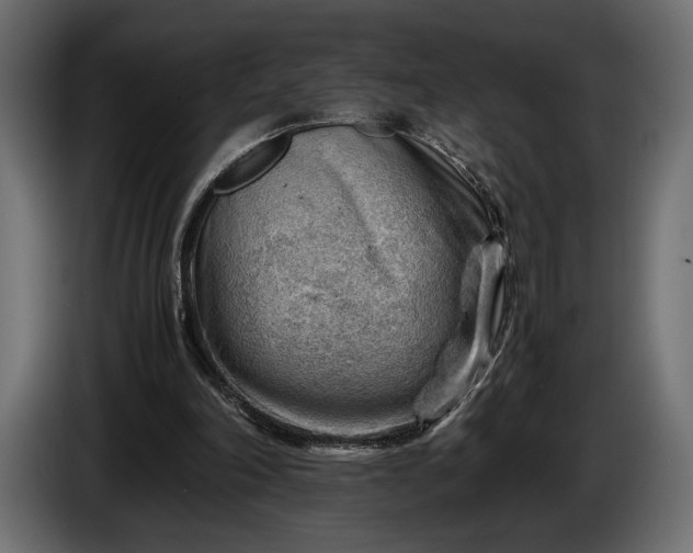 X0000086290198200704131555