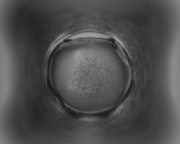 X0000086290199200704131555