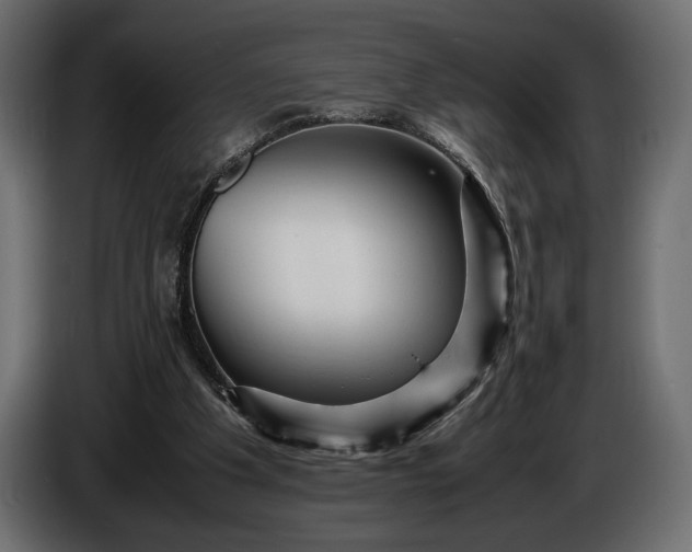 X0000086290201200704131555