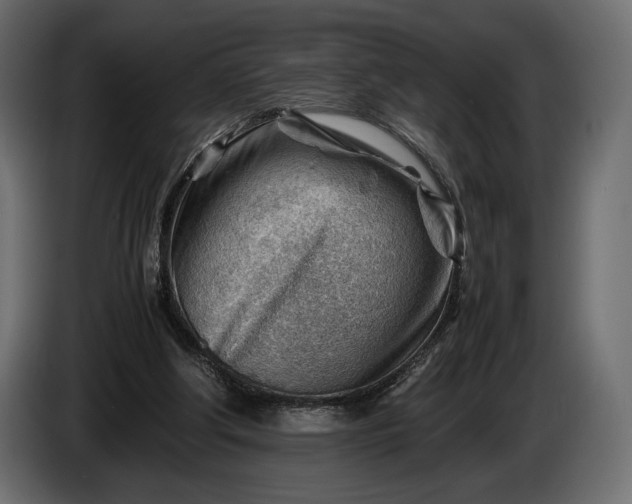 X0000086290202200704131555