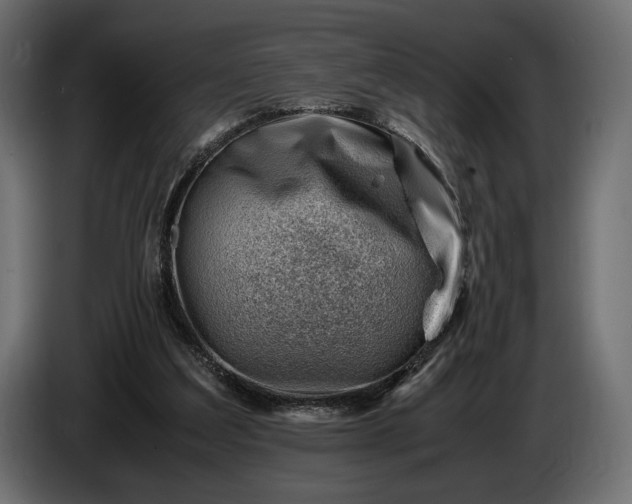 X0000086290203200704131555